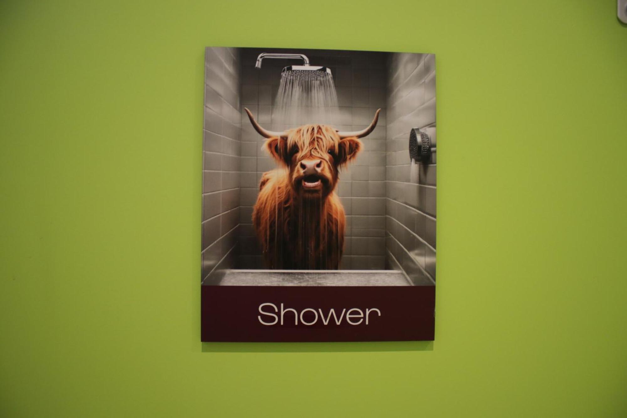 Hostel Safestay Edinburgh Cowgate Edinburgh